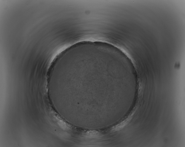 X0000089940974200707061057