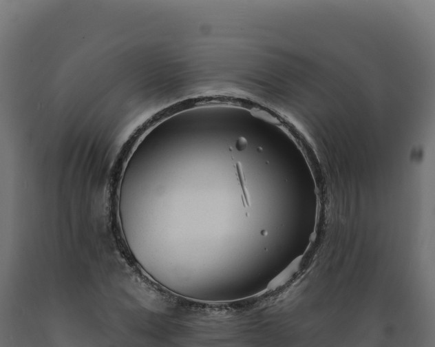 X0000089940975200707061057