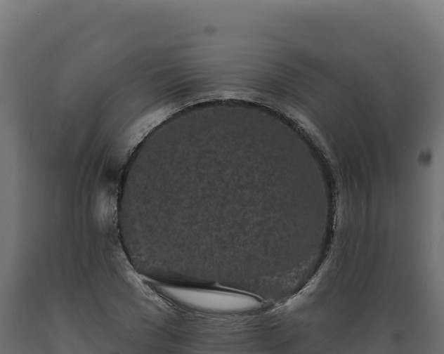 X0000089940977200707061057