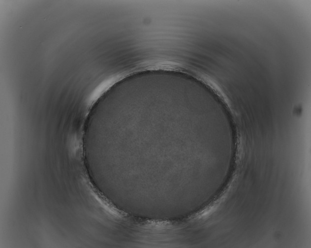 X0000089940978200707061057