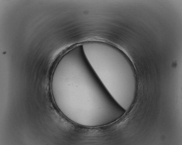 X0000089940979200707061057