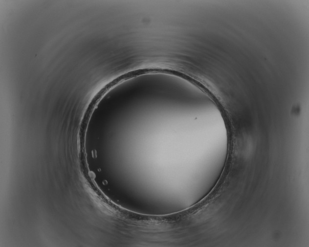 X0000089940980200707061057