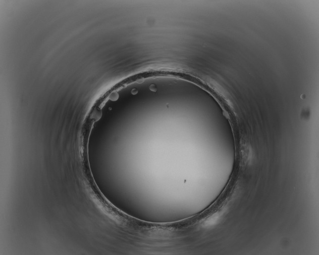 X0000089940981200707061057