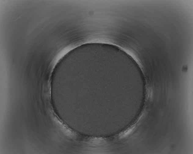 X0000089940982200707061057