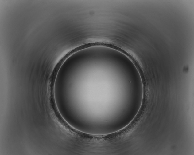 X0000089940983200707061057