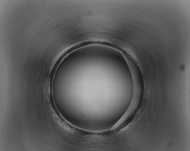 X0000089940984200707061057