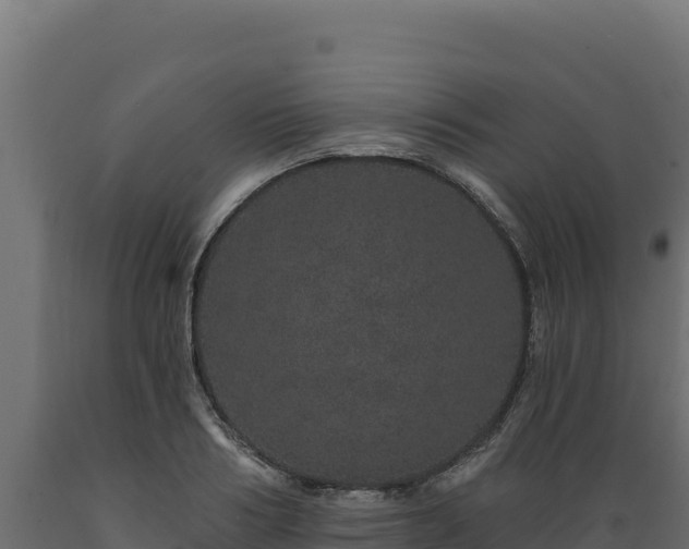 X0000089940986200707061057