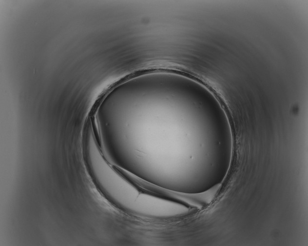 X0000089940987200707061057