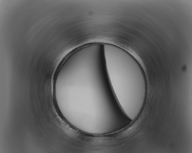 X0000089940988200707061057