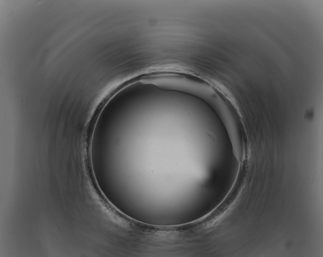 X0000089940989200707061057