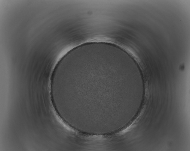 X0000089940990200707061057