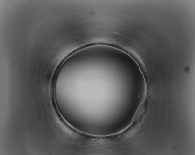 X0000089940991200707061057