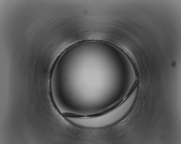 X0000089940992200707061057