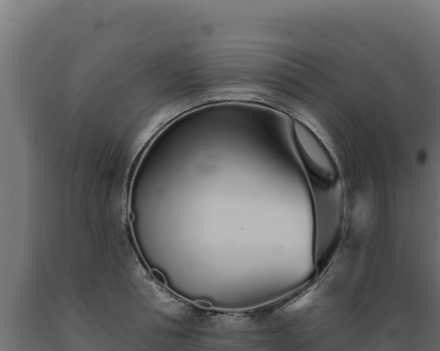 X0000089940994200707061057