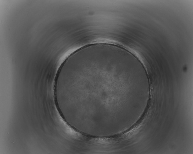 X0000089940995200707061056