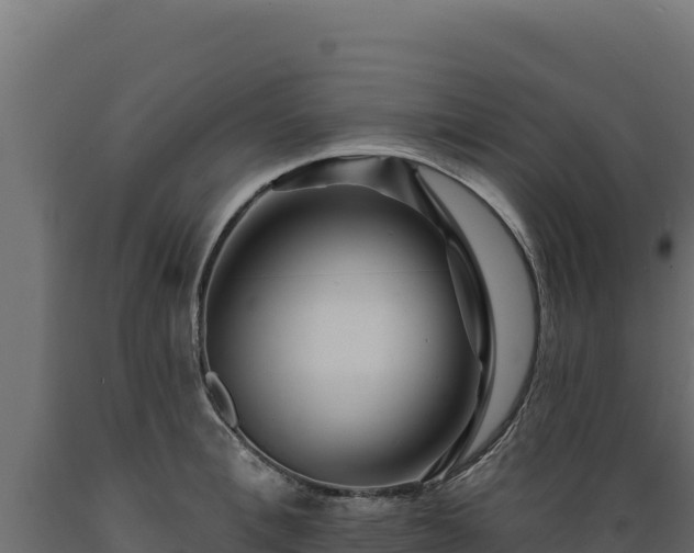 X0000089940996200707061056