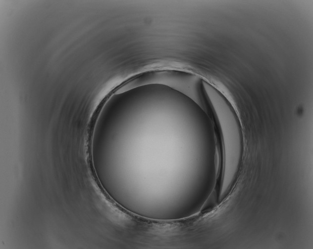 X0000089940997200707061056