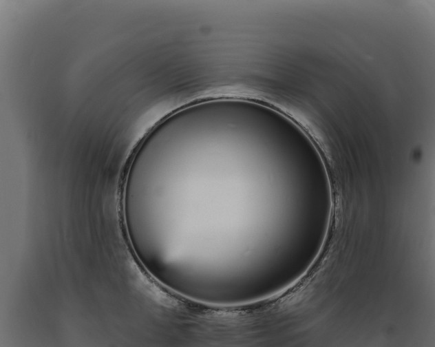 X0000089940998200707061056