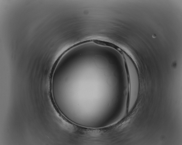 X0000089940999200707061056