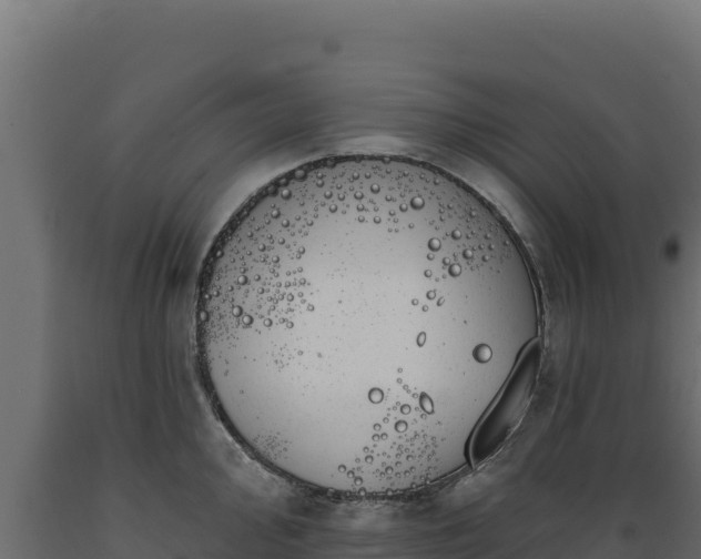 X0000089941000200707061056