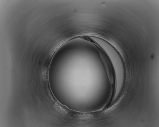 X0000089941001200707061056