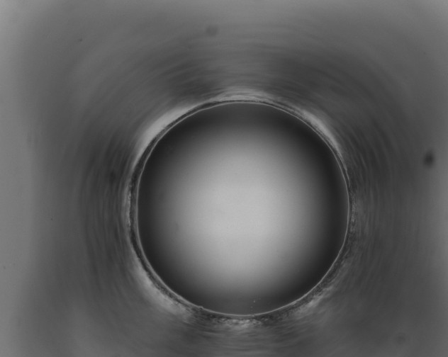 X0000089941003200707061056