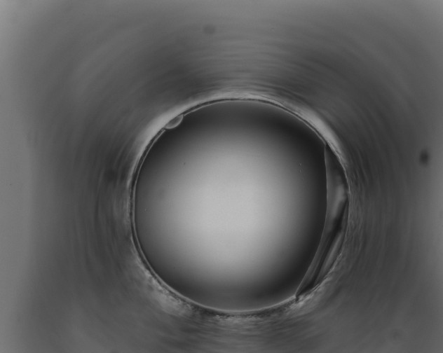 X0000089941004200707061056