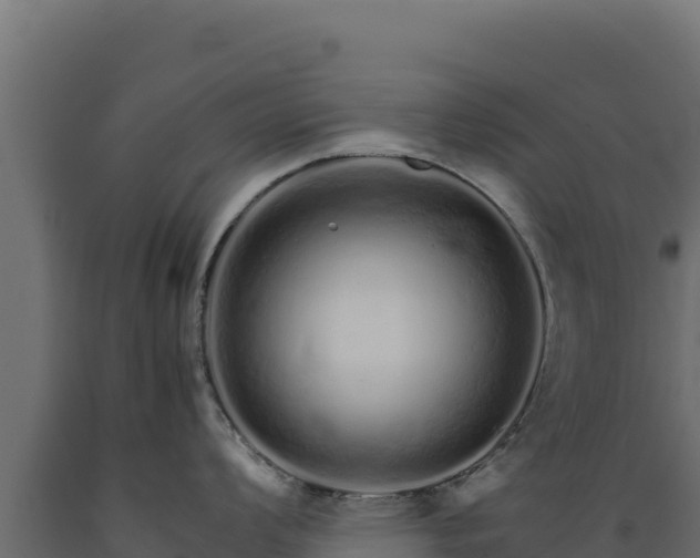 X0000089941008200707061056