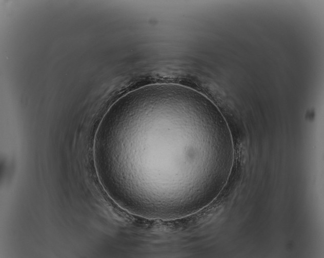 X0000089941009200707061056