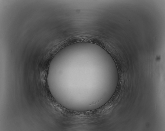 X0000089941010200707061056