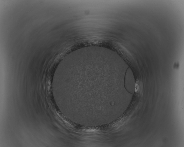 X0000089941011200707061056