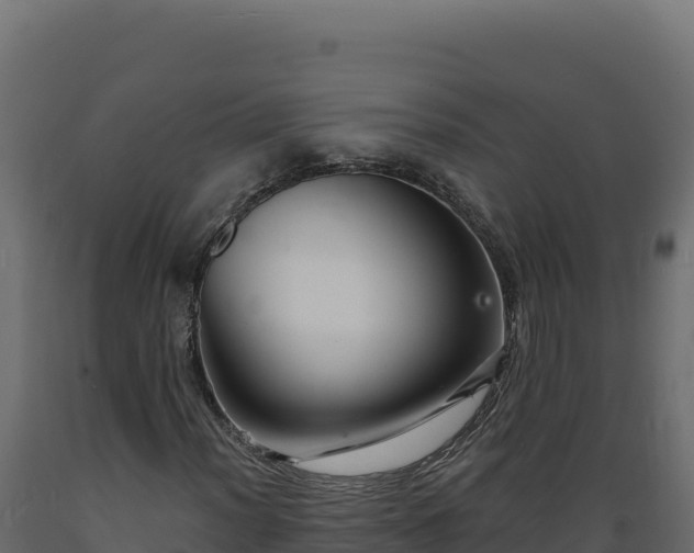 X0000089941012200707061056