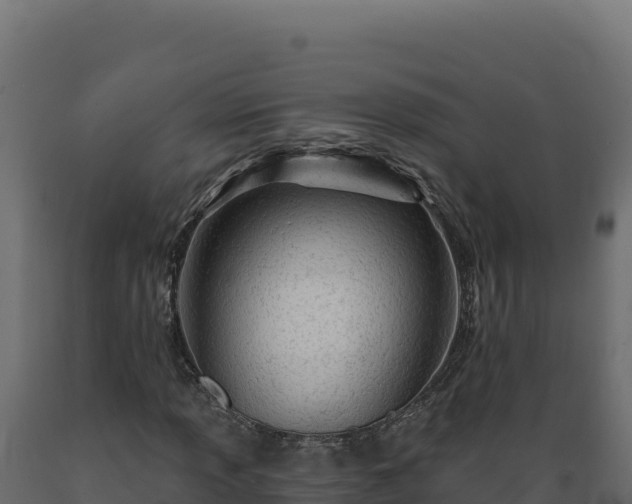 X0000089941013200707061056