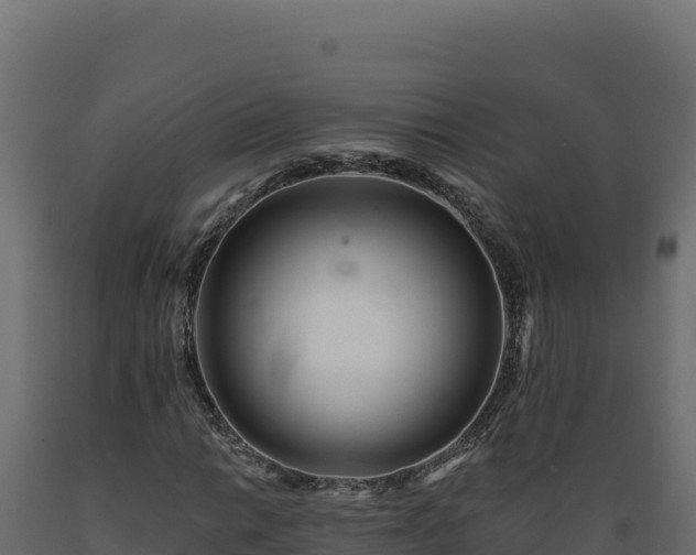 X0000089941014200707061056