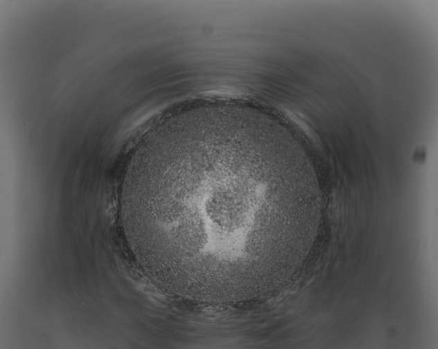 X0000089941015200707061056