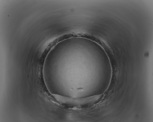 X0000089941016200707061056