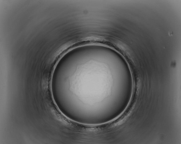 X0000089941017200707061056