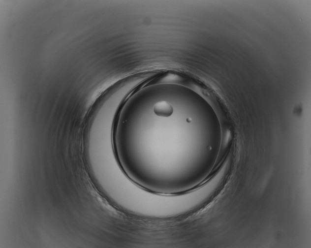 X0000089941018200707061056