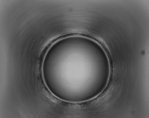 X0000089941019200707061056