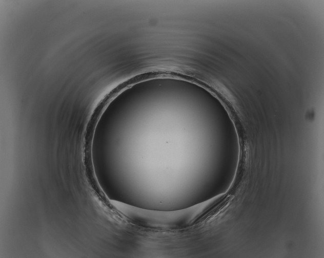 X0000089941020200707061056