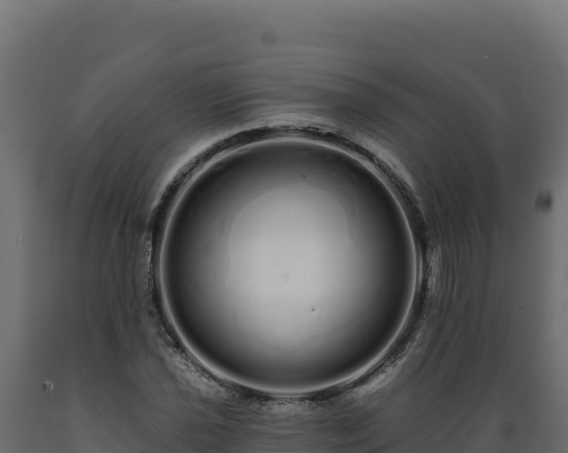 X0000089941021200707061056