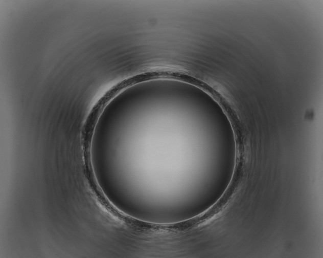 X0000089941022200707061056