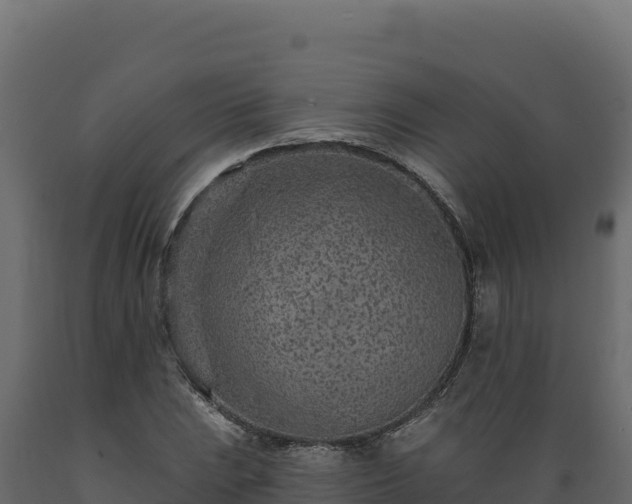 X0000089941023200707061056