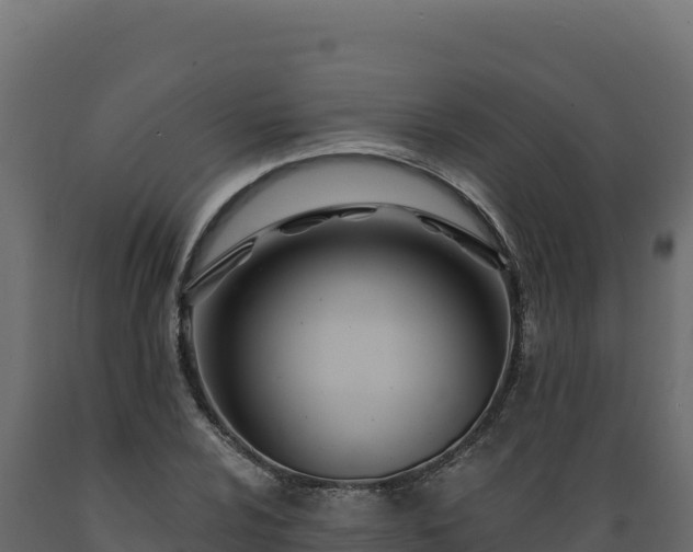 X0000089941024200707061056