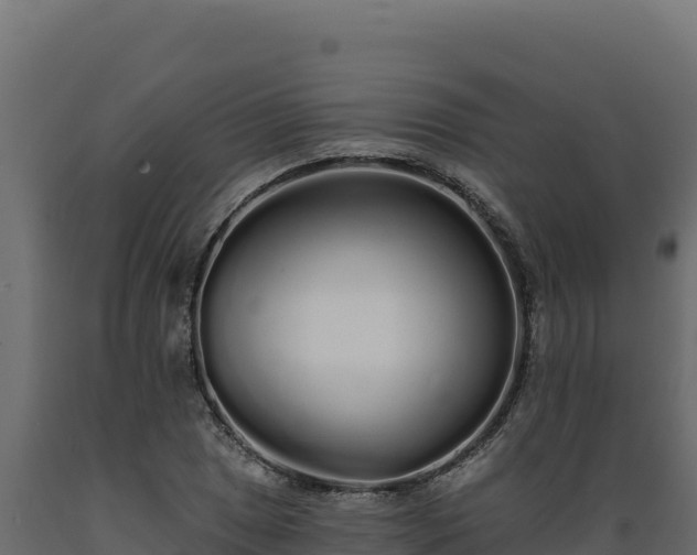 X0000089941025200707061056