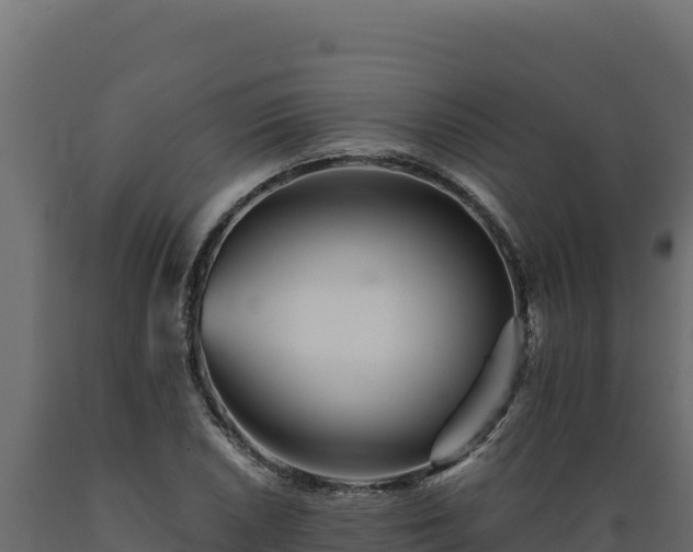 X0000089941026200707061056