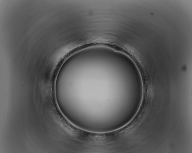 X0000089941027200707061056