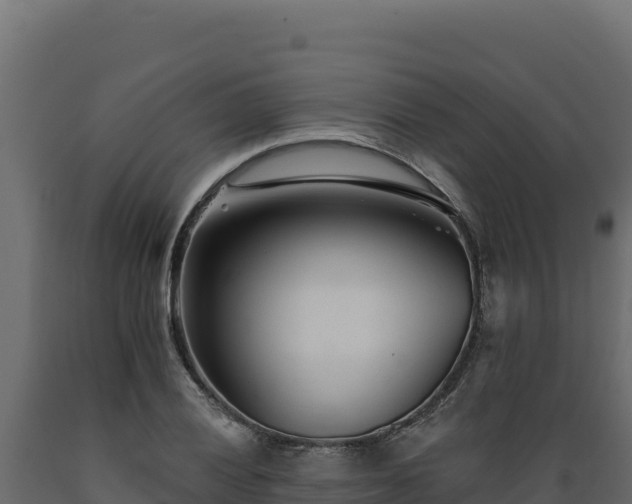 X0000089941028200707061056