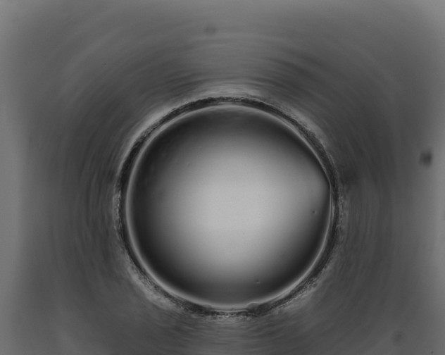 X0000089941029200707061056