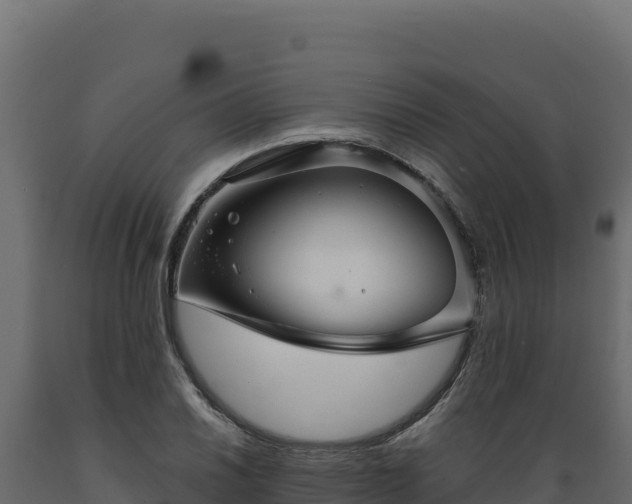 X0000089941030200707061056